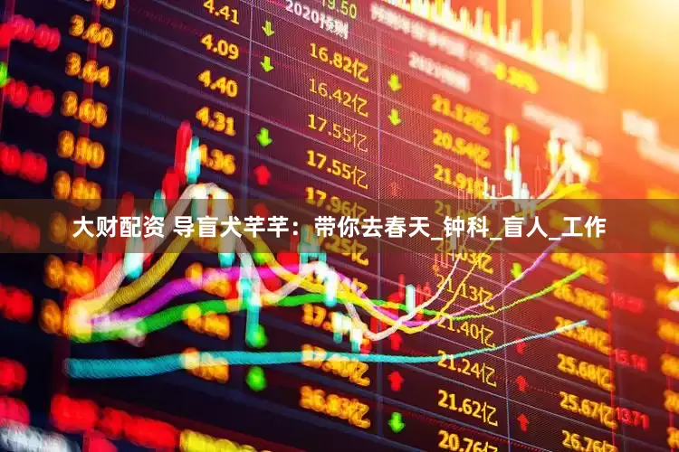 大财配资 导盲犬芊芊：带你去春天_钟科_盲人_工作