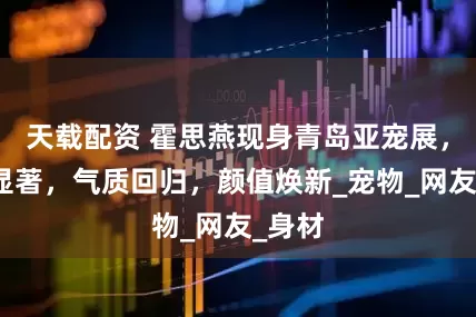 天载配资 霍思燕现身青岛亚宠展，瘦身显著，气质回归，颜值焕新_宠物_网友_身材