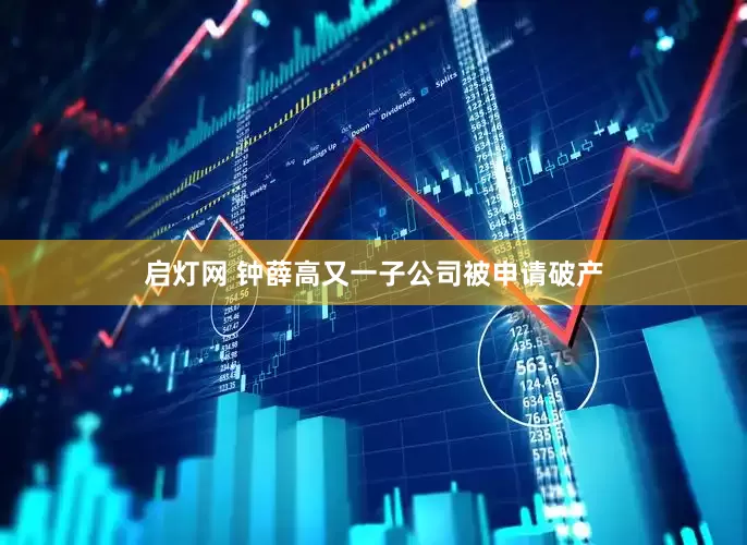 启灯网 钟薛高又一子公司被申请破产