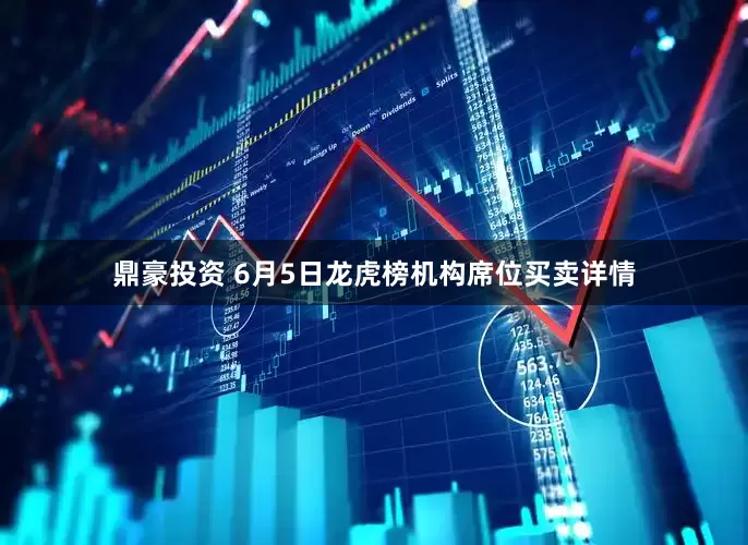 鼎豪投资 6月5日龙虎榜机构席位买卖详情